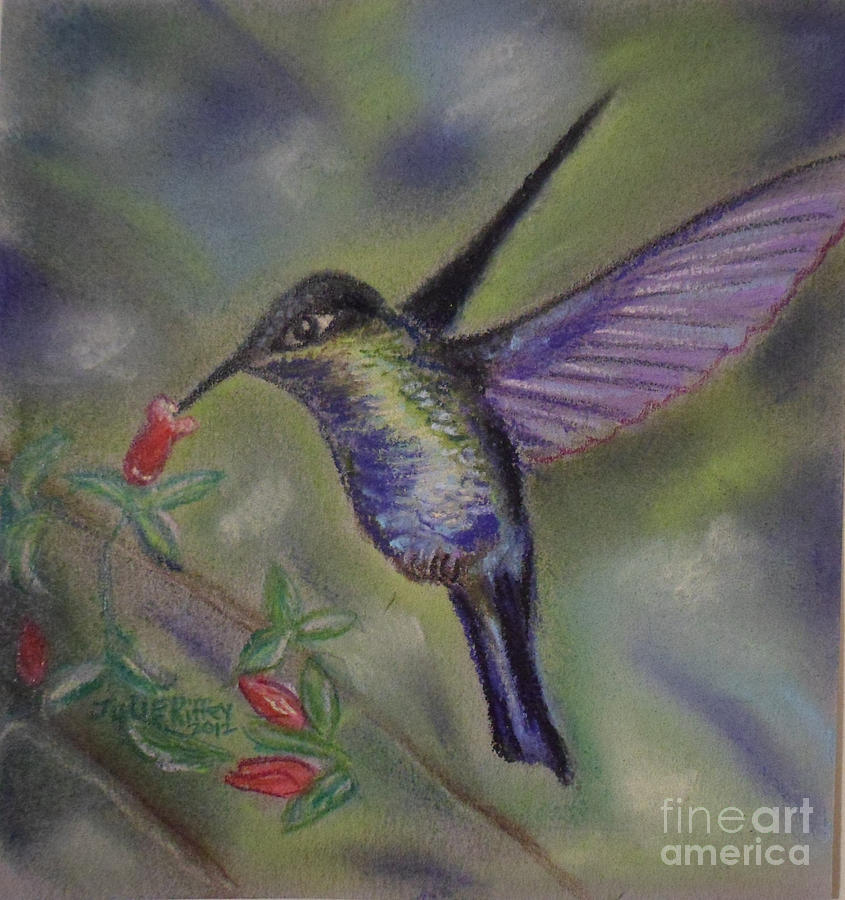 Hummingbird at Work Pastel by Julie Brugh Riffey