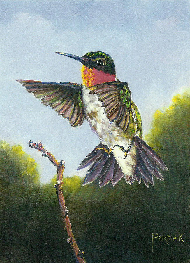 Hummingbird Painting by John Pirnak