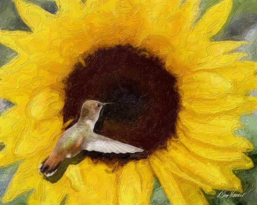 Hummingbird on Sunflower Photograph by Diana Haronis