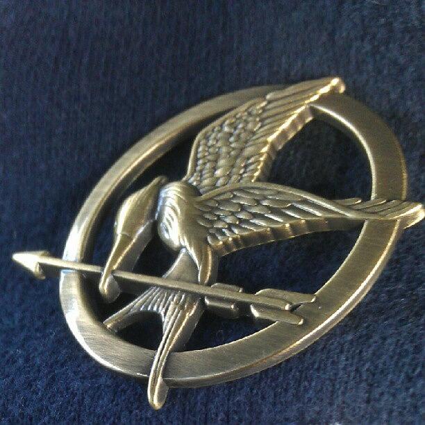 Mockingbird Photograph - Hunger Games Mocking Bird Pin by Kegan Piper