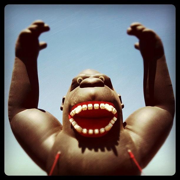 King Kong Photograph - Hungry by Florian Divi