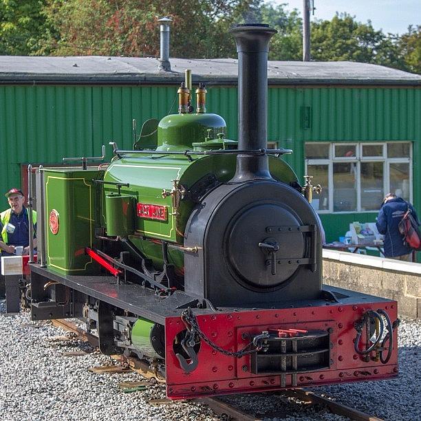 Buzzard Photograph - Hunslet Quarry Loco jack Lane At by Dave Lee