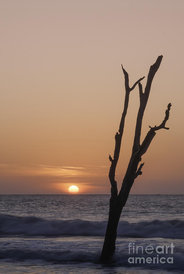 Hunting Island Sunrise Photograph by David Waldrop
