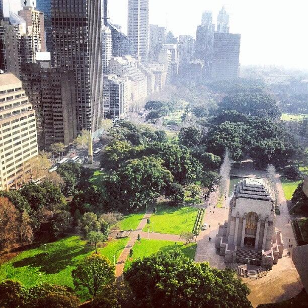 Hydepark Photograph - #hydepark #view #sydney #instawesome by Matti Collins