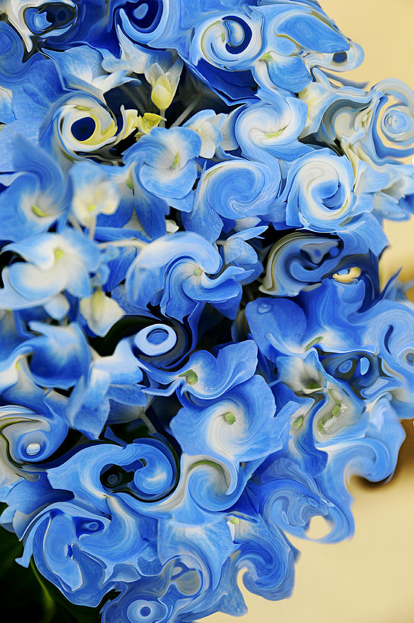 Hydrangea in Abstraction Photograph by JoAnn Lense