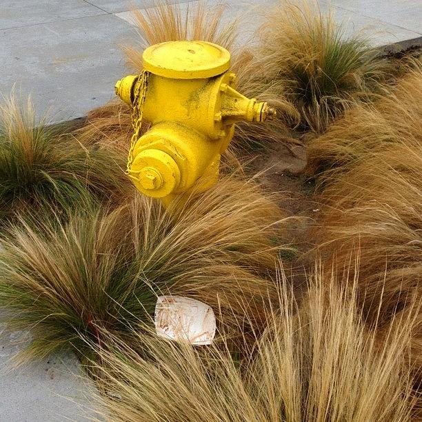 Instagram Photograph - Hydrant by Ric Spencer