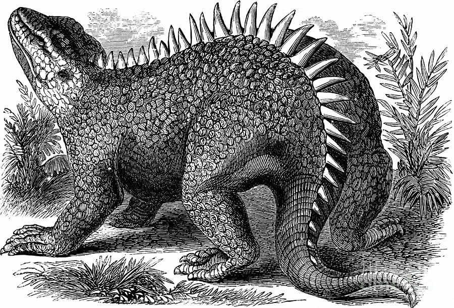 Hylaeosaurus, Cretaceous Dinosaur Photograph by Science Source
