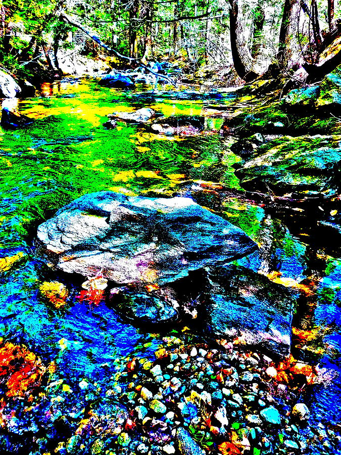 Nature Photograph - Hyper Childs Brook Z 60 by George Ramos