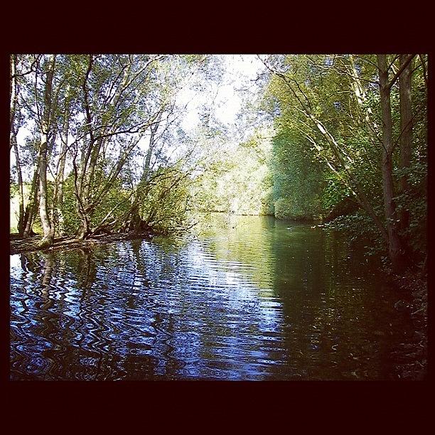 Serene Photograph - I ❤ Colwick Park #serene #park #lake by Jo Craven