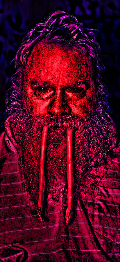 I am the Walrus Photograph by Gregory Scott