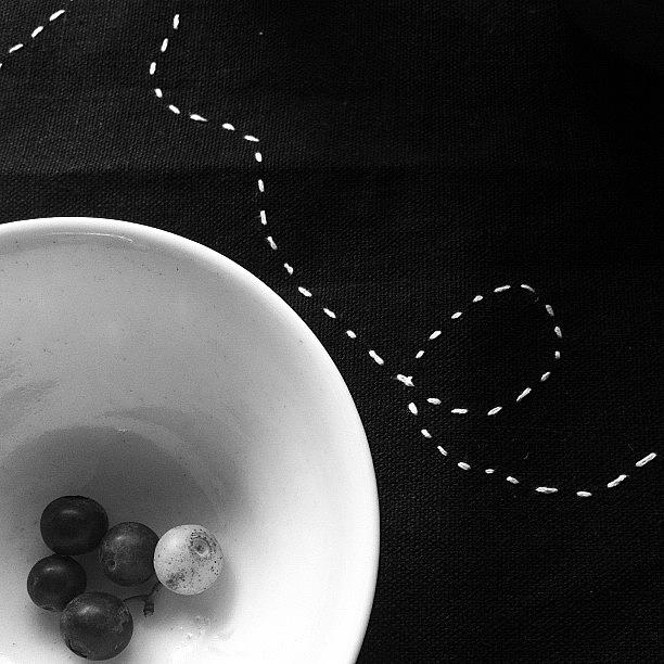 Bowl Photograph - I Ate All The Blueberries by Ellie B