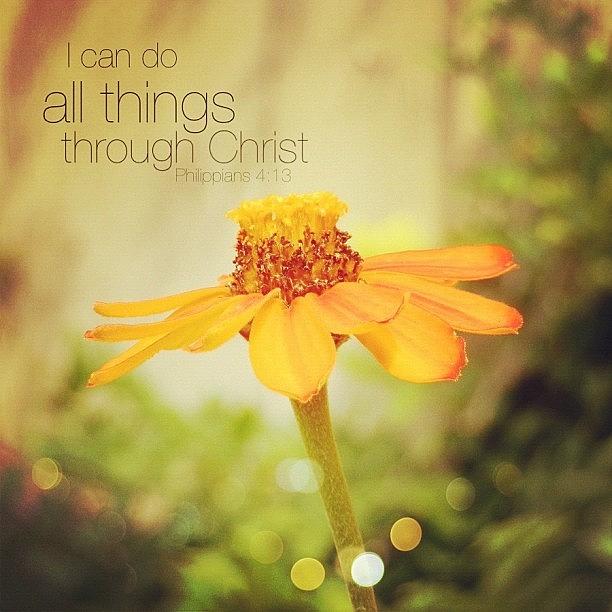 Nature Photograph - i Can Do All Things Through Christ by Traci Beeson