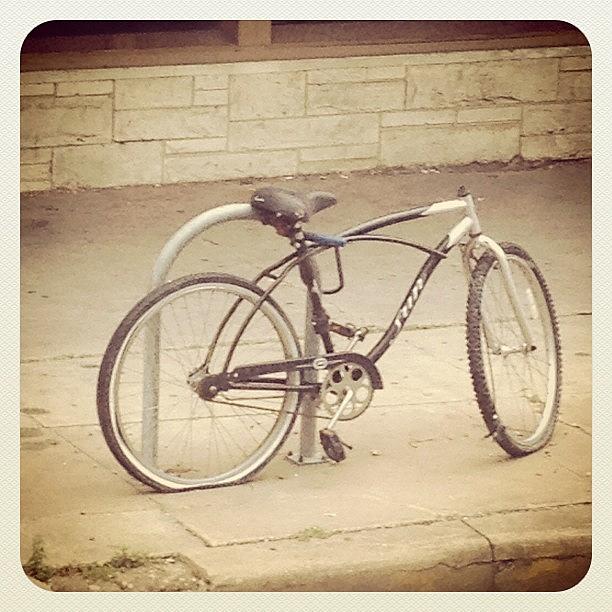 Austin Photograph - I Can Ride My Bike With No Handle Bars by Macy Jane