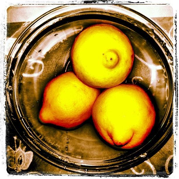 Lemon Photograph - I Dont Know Who Doesnt Like #lemons by Alicia Greene