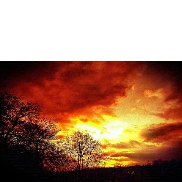Nature Photograph - I Edited The Sky In Red Because I Need by Melanie Stork
