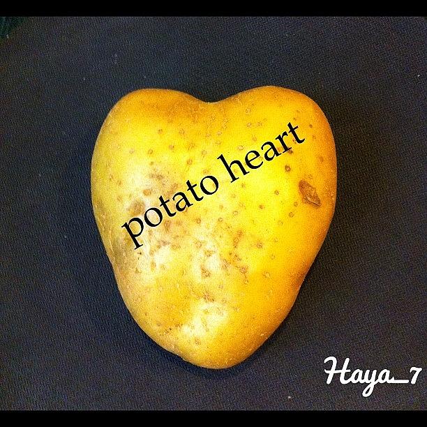 I Found It  In Potatoes  Box 😊👍 Photograph by Queen Of Colors