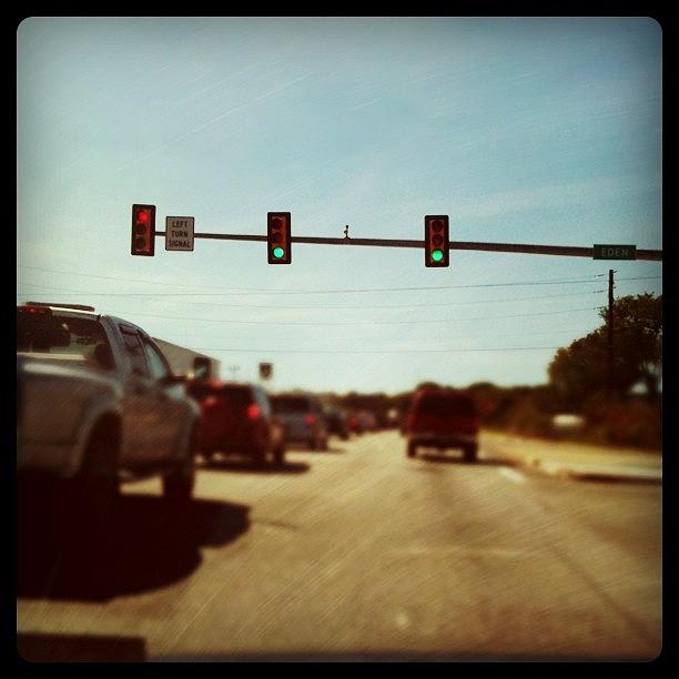 Traffic Photograph - I Hate Stopping @ A Green Light by Renee Ellis