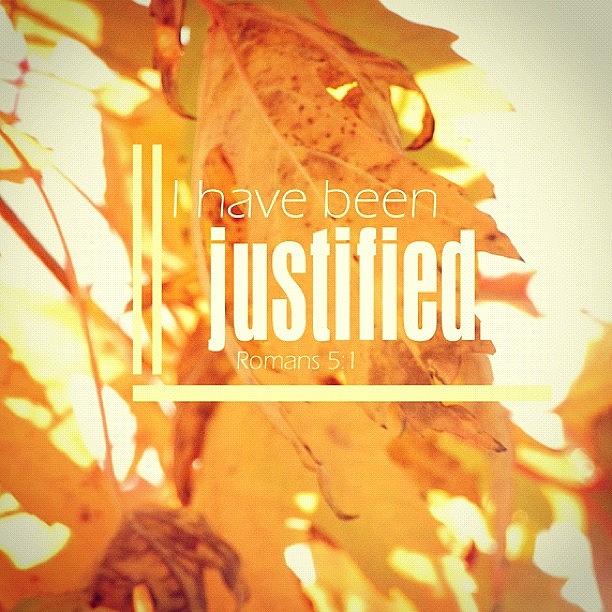 Fall Photograph - I Have Been Justified. Romans 5:1 • A by Traci Beeson