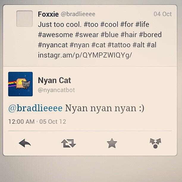 Cool Photograph - I Have Been Tweeted By Freaking #nyan by Bradley Burdett 