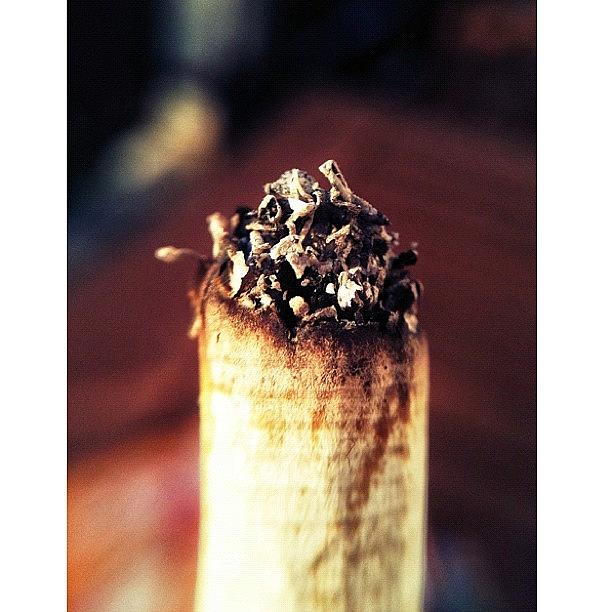 Saturation Photograph - I Know – Smoking Is Bad. But Isnt by Melanie Stork