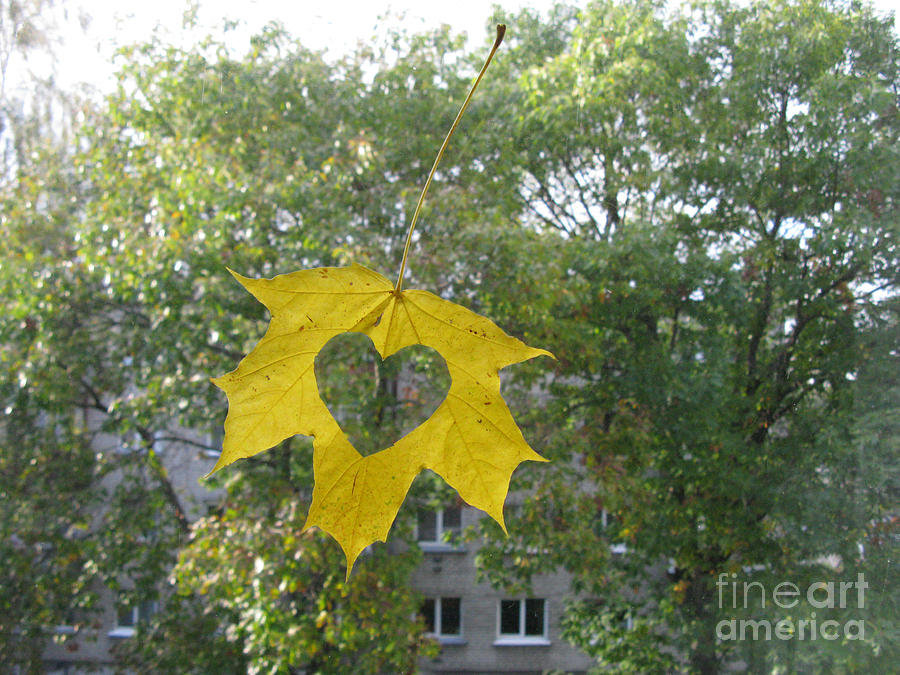 Fall Photograph - I Love Autumn 02 by Ausra Huntington nee Paulauskaite