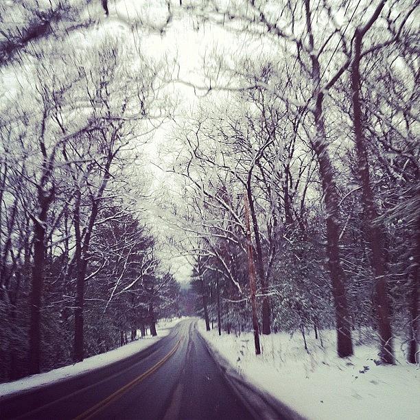 I Love Snow! It Makes Even The Most Photograph by Caitlin Salvitti