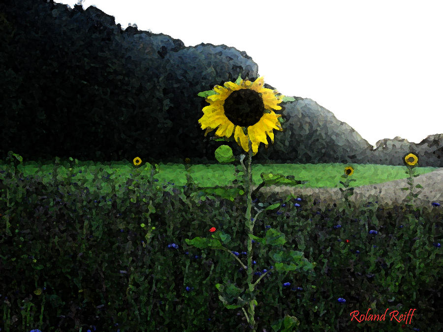 Watercolor Digital Art - I Love Sun by Roland Reiff Watercolor Digital Art - I Love Sun by Roland Reiff