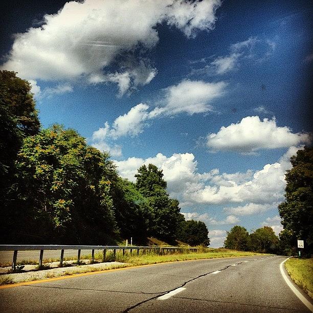 Tree Photograph - I Love The #clouds When Driving South by Shannon Ferguson