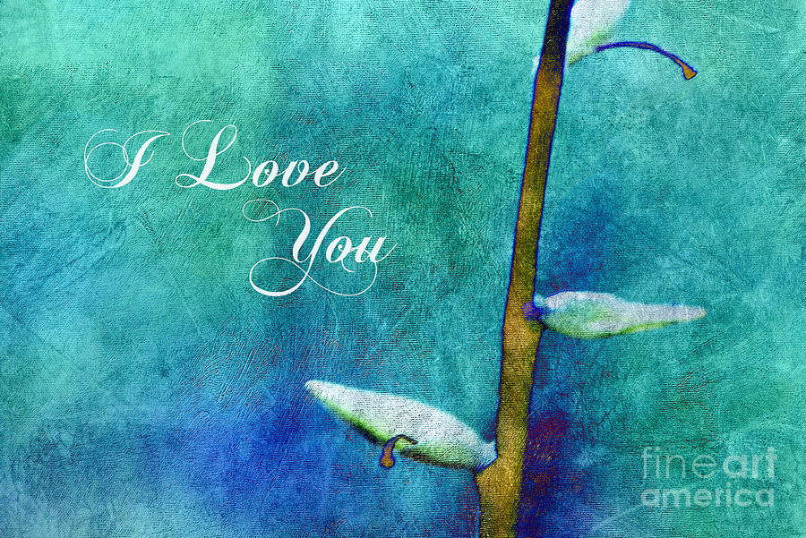 I Love You - Aqua Card Photograph by Aimelle Ml
