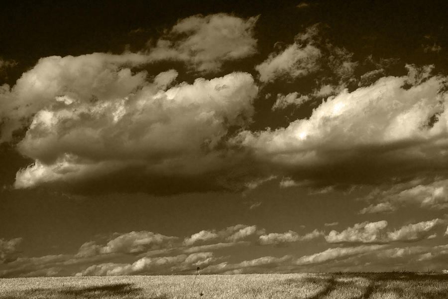Black And White Photograph - I really dont know Clouds at all by Yuri Lev