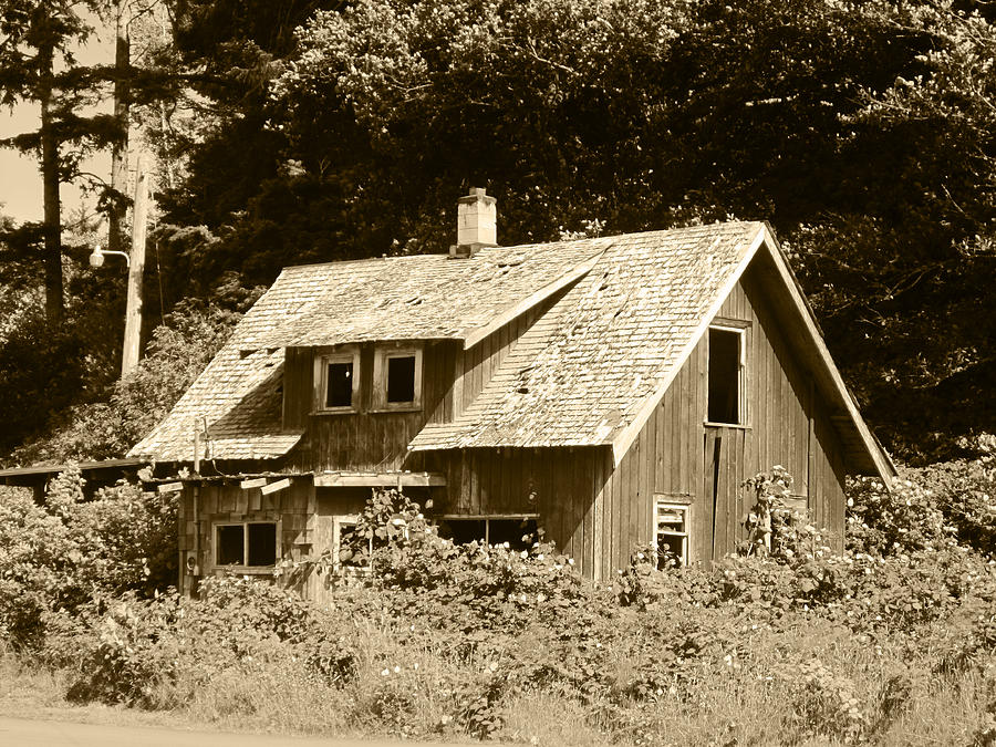I Remember That Old Cabin Photograph by Kym Backland