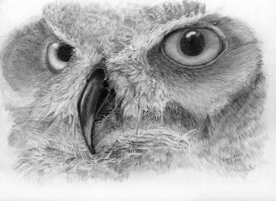 I See You Drawing by Peggy Covic