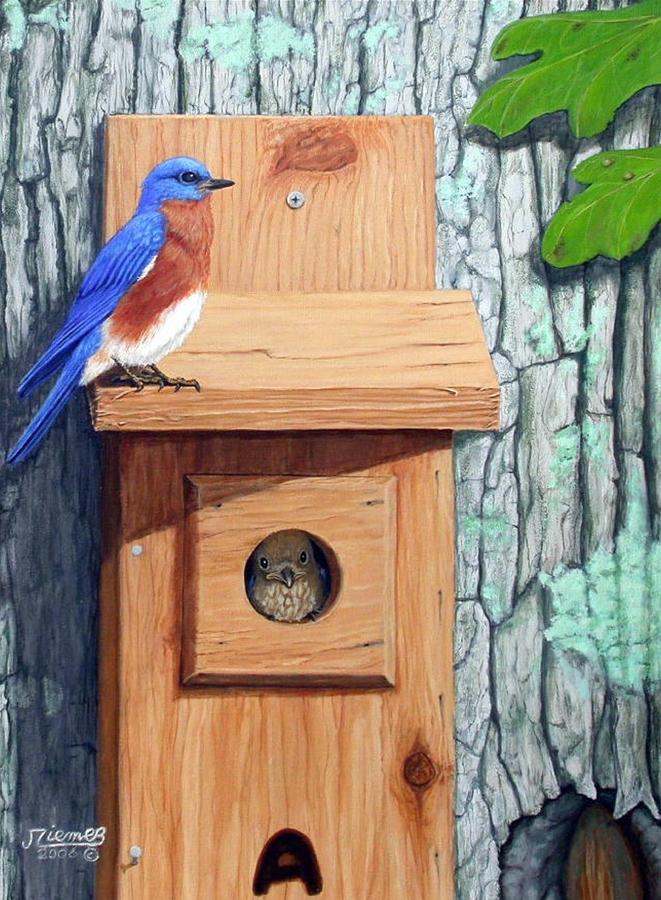 Bluebird Painting - I Think I Can Fly by Jim Ziemer