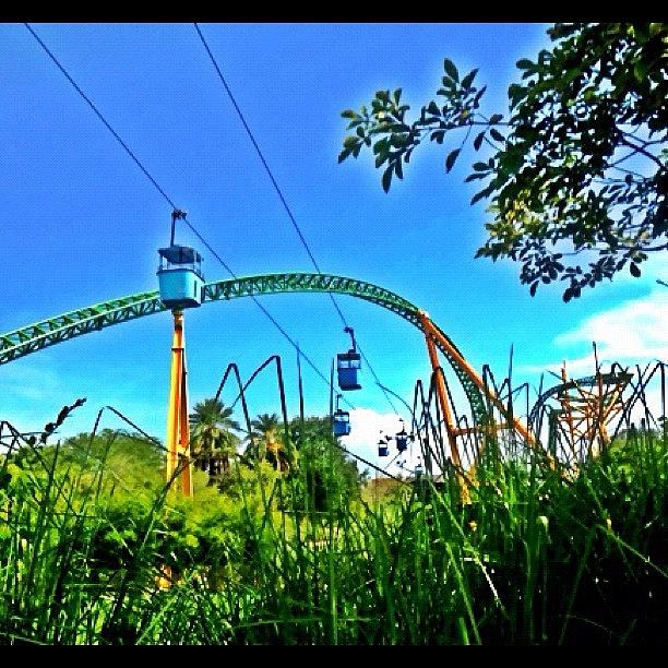 Nature Photograph - I Took This Photo At Busch Gardens! I by Sehal Shah