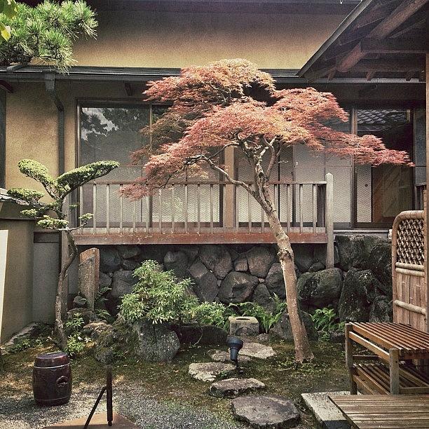 Japan Photograph - I Wish My Front Yard Looked Like This by Brad Kremer