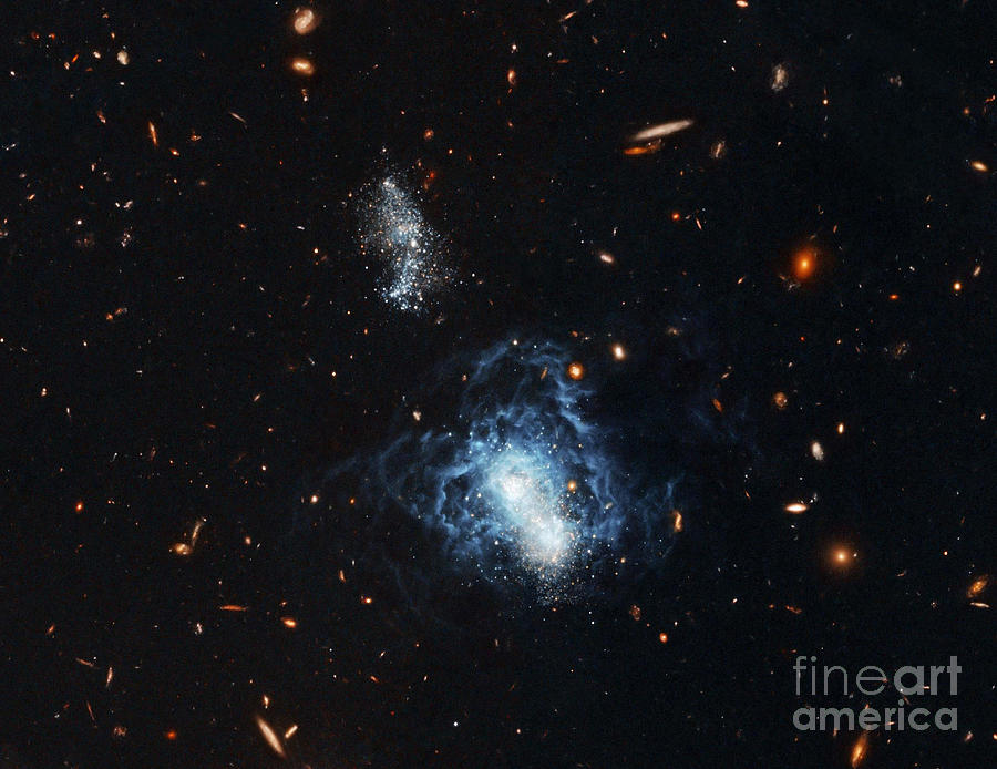 I Zwicky 18 Galaxy Photograph by Nasa