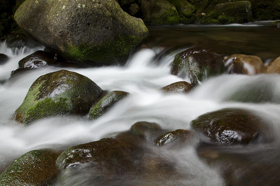 Iao River III Photograph by Jenna Szerlag