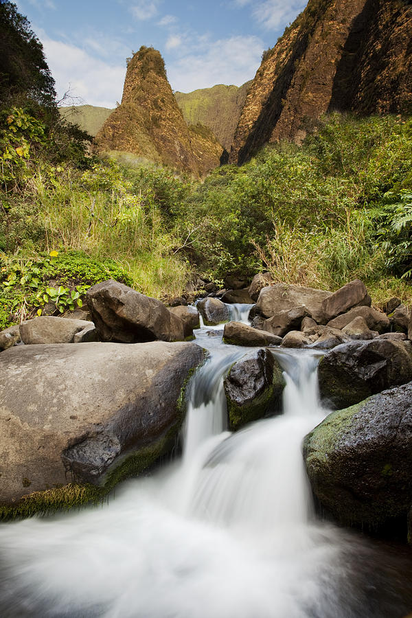 Jungle Photograph - Iao River Valley by Jenna Szerlag