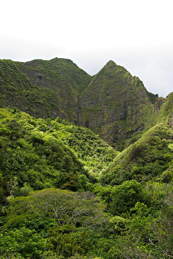Iao Valley Mountains Photograph by Marilyn Wilson