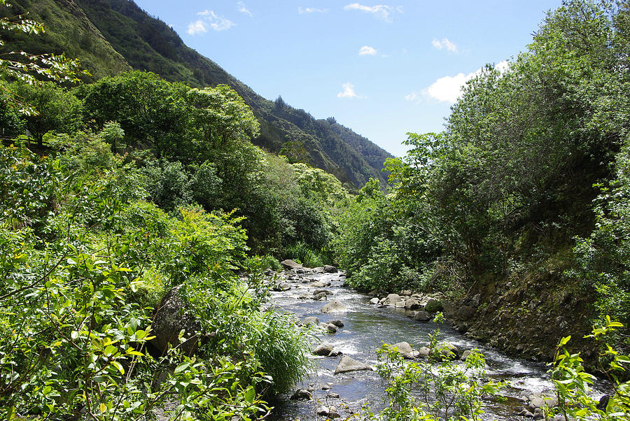 Iao Valley River Photograph by Marilyn Wilson