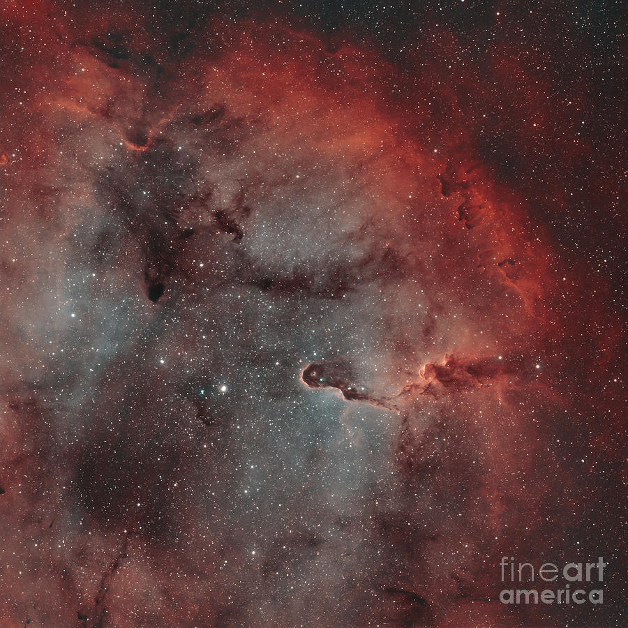 Interstellar Photograph - Ic 1396, The Elephant Trunk Nebula by Rolf Geissinger