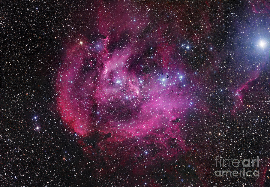 Space Photograph - Ic 2944, The Running Chicken Nebula by Robert Gendler