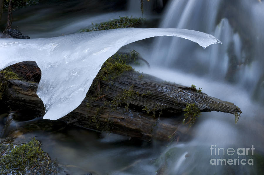 Banff National Park Photograph - Ice 5 by Bob Christopher
