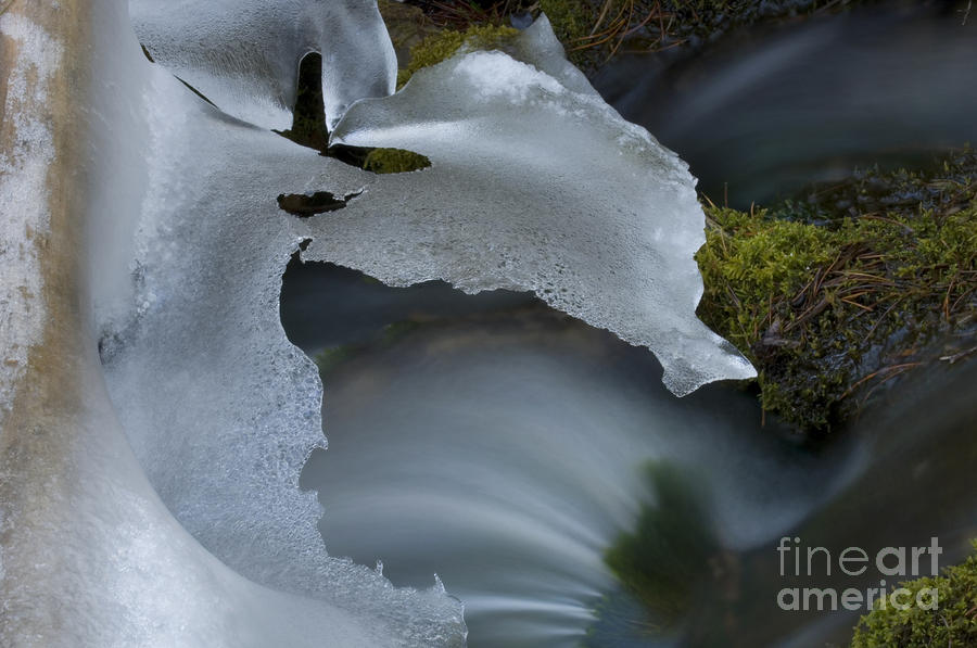 Banff National Park Photograph - Ice 9 by Bob Christopher