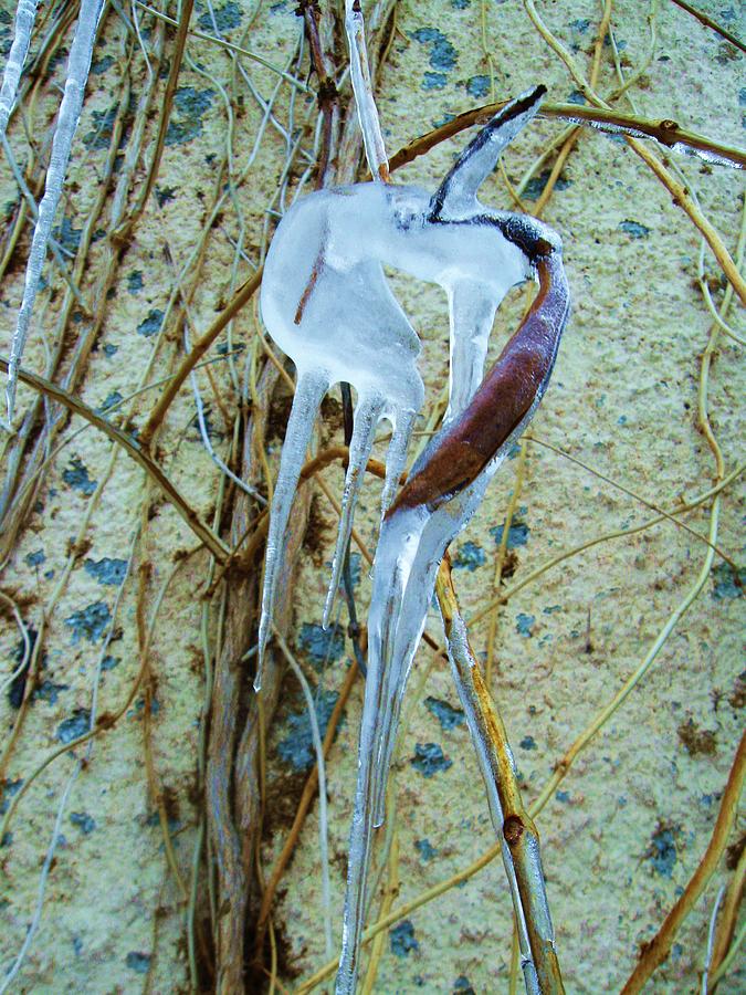 Ice Abstract Photograph by Todd Sherlock