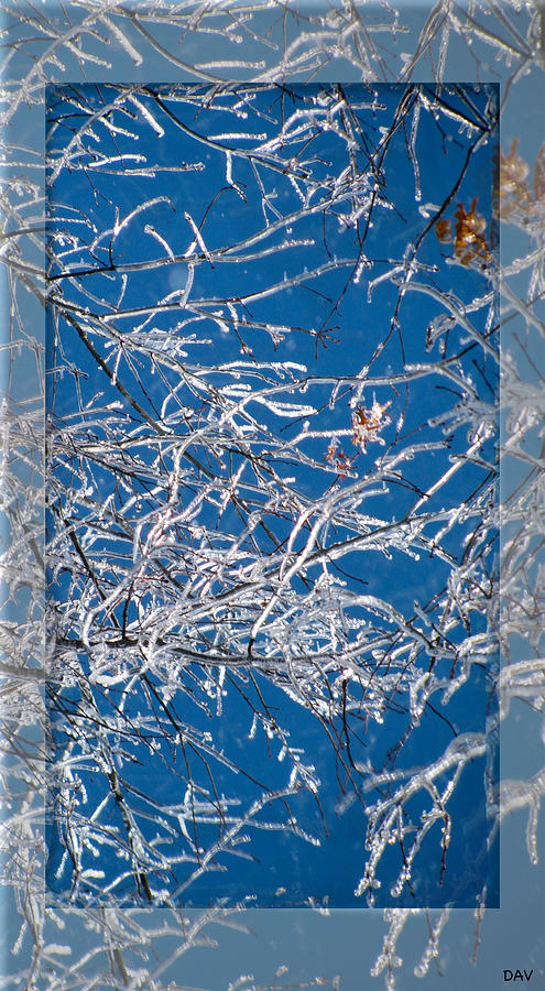 Ice Crystal Art Photograph by Debra     Vatalaro