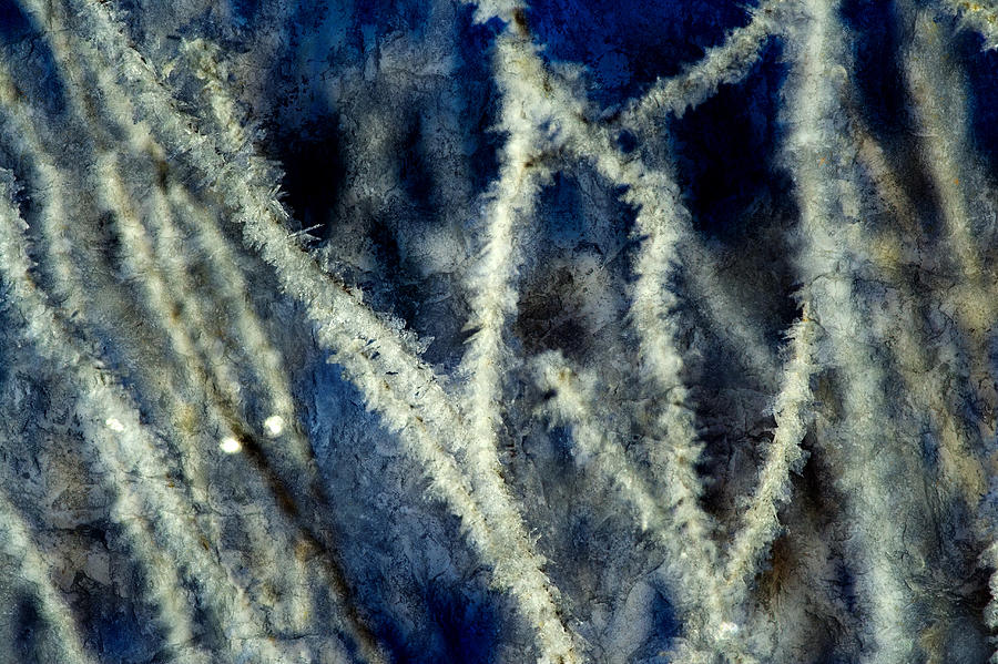 Ice Crystals - Abstract Photograph by Ellen Heaverlo