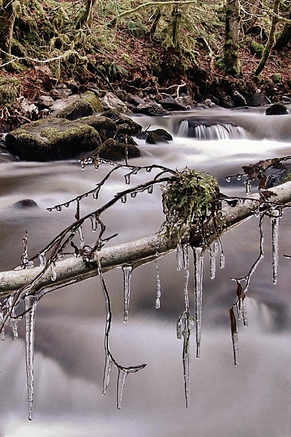 Ice Photograph by Gavin Macrae