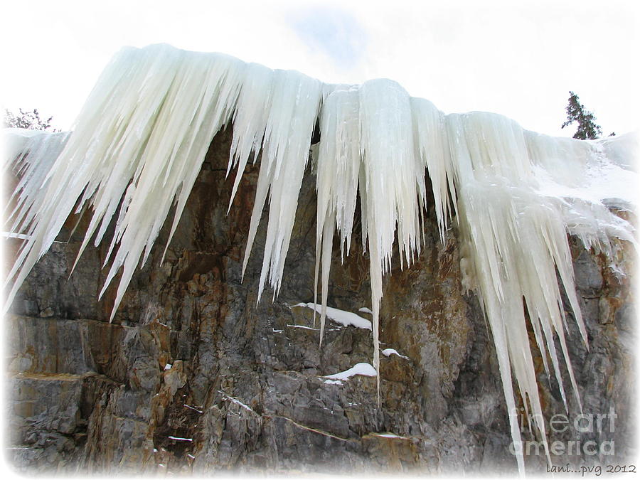 Ice Hang-Over Photograph by Lani Richmond Elvenia