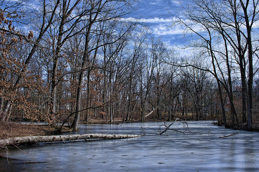 Ice on the Pond Photograph by Scott Wood